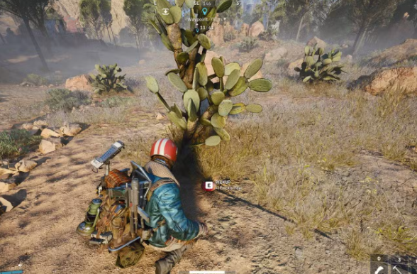 where to get prickly pear arc raider